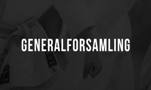 Indkaldelse til generalforsamling 2024